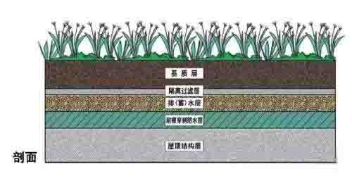 湖南金年会生态环境建设有限公司,人造草坪假草皮,湖南雨水收集处理工艺